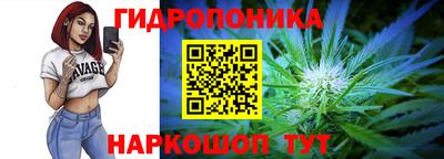 МДПВ Партизанск
