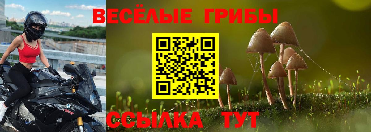 Псилоцибиновые грибы Cubensis  Вход с VPN  Галлюциногенные грибы прущие грибы  Тихорецк 